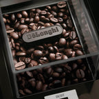 DELONGHI - Burr Coffee Grinder - Black - KG79 - Kitchenary