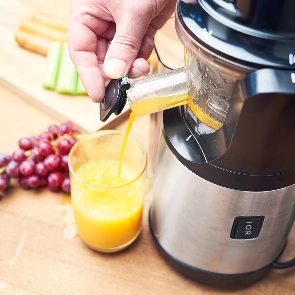 GASTROBACK - Slow Juicer Advanced Vital - Stainless Steel - 60145 - Kitchenary