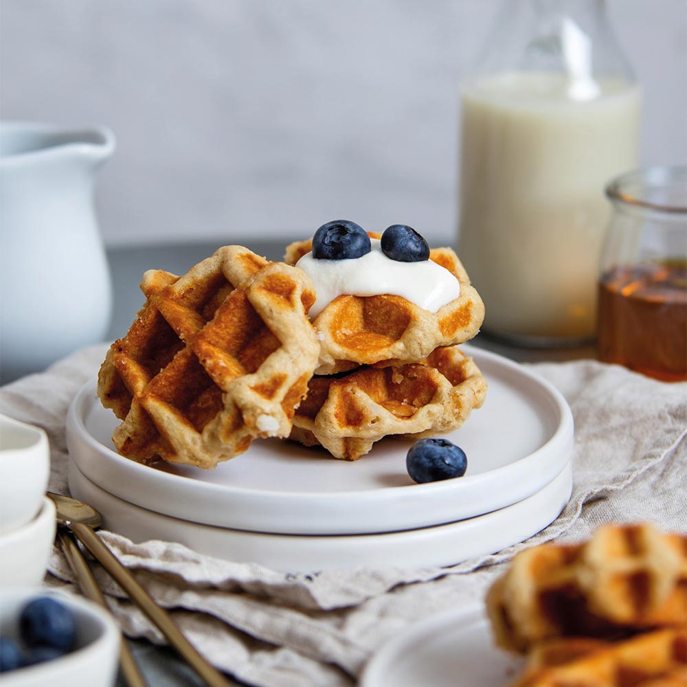 GASTROBACK - Waffle Iron Advanced Control - Stainless Steel - 62424 - Kitchenary