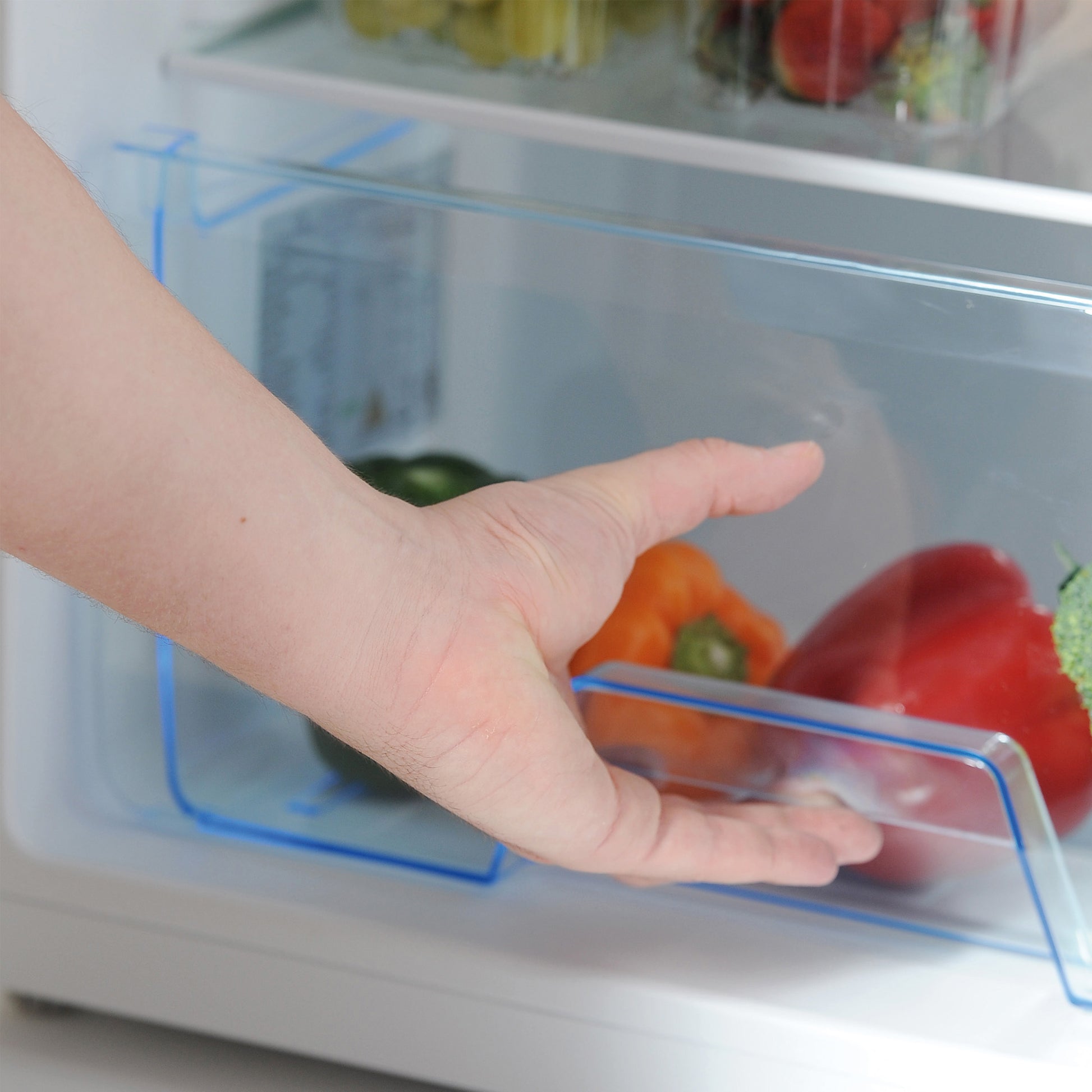 STATESMAN - 55cm Under Counter Fridge with 4* Ice Box - White - R155W - Kitchenary